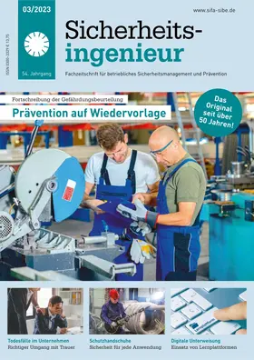 Sicherheitsingenieur