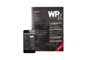 Die Wirtschaftsprüfung - WPg