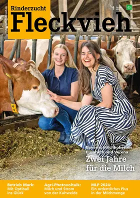 RINDERZUCHT Fleckvieh