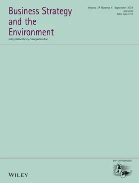 Business Strategy and the Environment