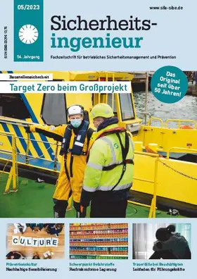 Sicherheitsingenieur
