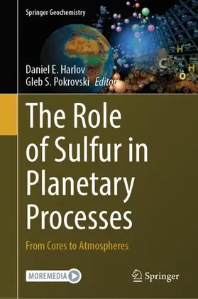 The Role of Sulfur in Planetary Processes