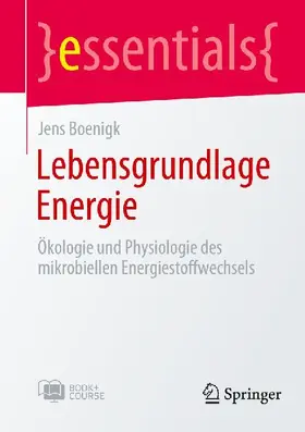 Lebensgrundlage Energie