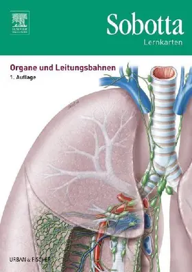 Sobotta Lernkarten Organe und Leitungsbahnen